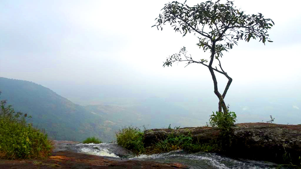 Chellarkovil